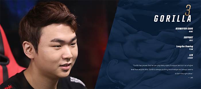 更是全面提 更是全面提